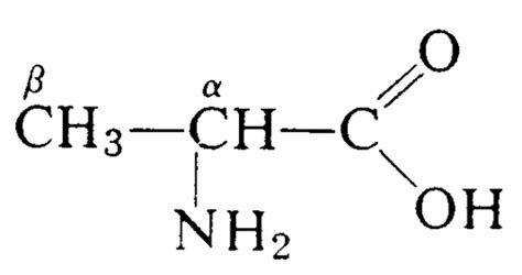 Organic Chemistry Flashcards | Quizlet