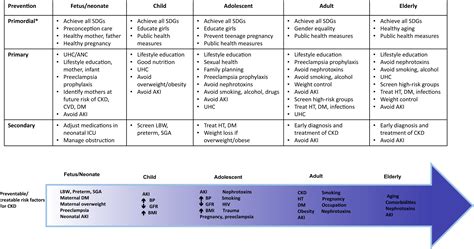 Preventing Ckd In Developed Countries Kidney International Reports