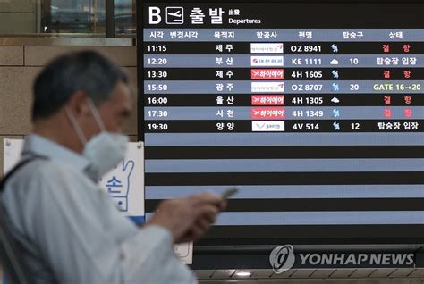 태풍 힌남노 전국 항공기 361편 무더기 결항제주공항 운항 중단종합2보 나무뉴스