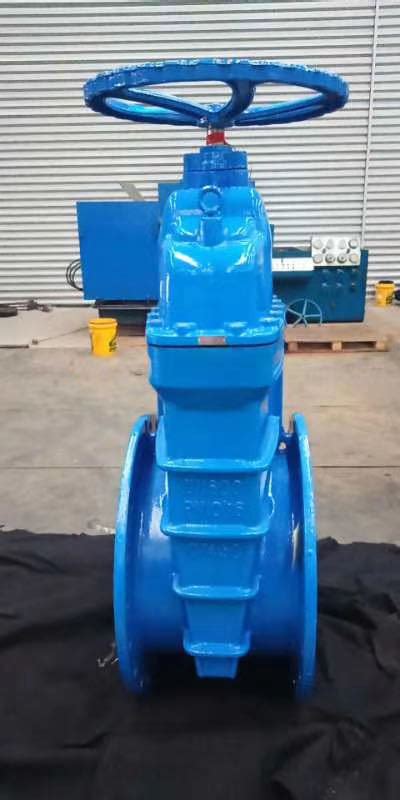 Ductile Iron Flange Soft Seal Elastic Seat Non Rising Stem Gate Valve