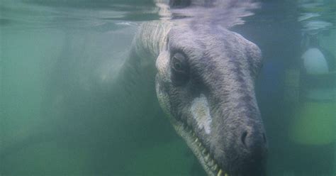 Tourist Spots Loch Ness Monster In Second Reported Sighting In 11 Days Stoke On Trent Live