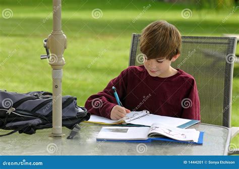 boy studying stock image image  paper education cute