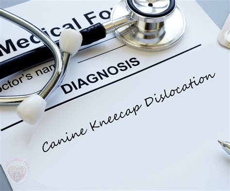 Explaining Canine Kneecap Dislocation - Causes and Symptoms