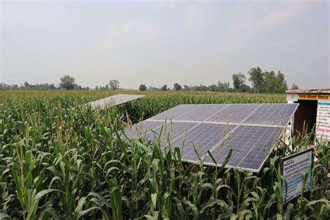 Women Farmers Harness Solar Power For Irrigation