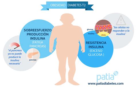 Por qué la obesidad produce diabetes tipo 2 Cómo prevenirlas