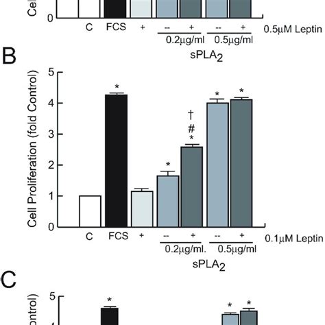 Effect Of Leptin In Spla Iia And Egf Induced Cell Proliferation