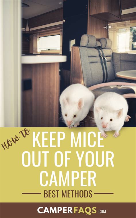 Keep Mice Out Of Your Camper With These Proven Methods