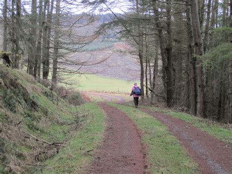 Forest Track On Bold Rig © Jim Barton Cc By Sa 2 0 Geograph Britain And Ireland