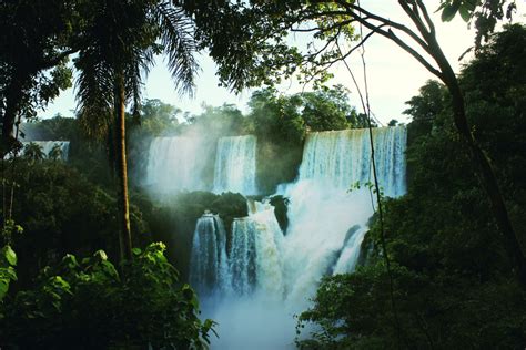 Free Images Landscape Nature Forest Waterfall Palm Tree River