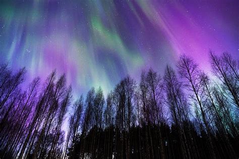 Chicagos Chance To Witness The Aurora Borealis Northern Lights A