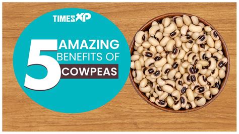 5 Health Benefits Of Cowpeas Improve Digestive Health Heart Health And Skin Health Timesxp