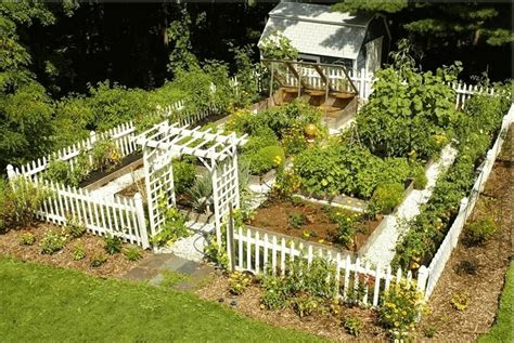 Vegetable Garden Fence Ideas Rtrendinginterior