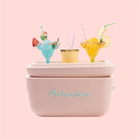 Caixa Térmica Polarbox Premium Retro 20l Nude E Marrom Sua Casa
