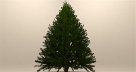 3d Pine Tree Model Turbosquid 1472742