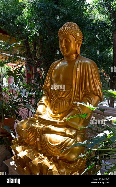 Statue Of Sakyamuni Buddha Sakyamuni Buddha Buddha Buddhist Temple