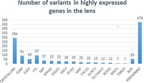 Inherited Cataracts Molecular Genetics Clinical Features Disease