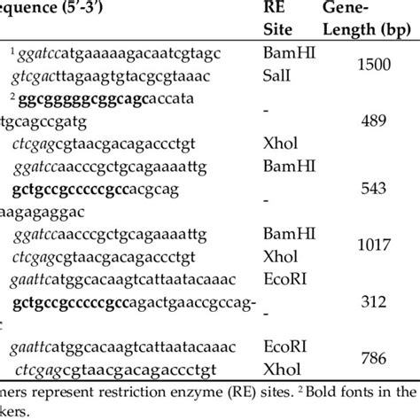 Primers For Gene Cloning And Recombinant Protein Construction