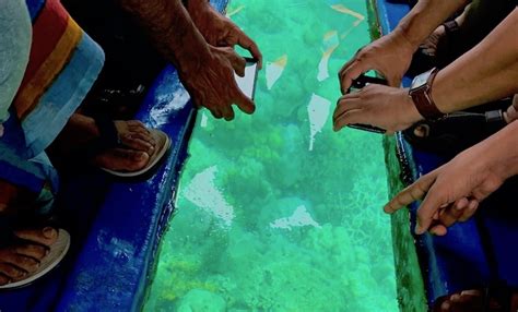 Glass Bottom Boat Rides In Andaman Islands Andaman Falcon Tours Travels