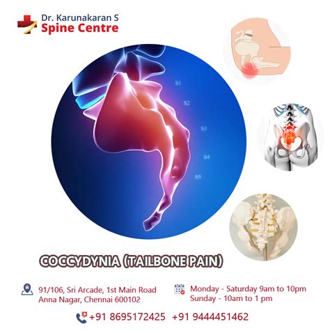 Coccydynia: Overview, Causes, and Treatment – Best Spine Specialist In Chennai | Dr Karunakaran ...