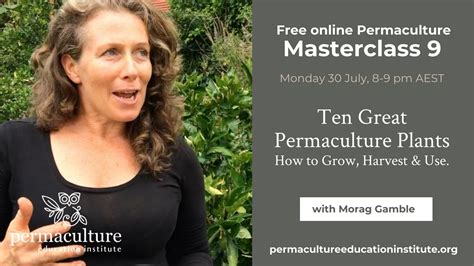 Permaculture Plants - Our Permaculture Life