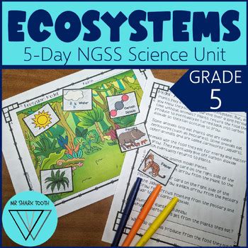 Th Grade Ecosystem Ecology No Prep Unit Ls Activities