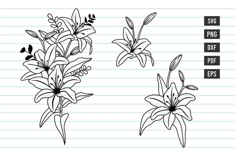 Lily Svg Hand Drawn Flower Svg Flower Graphic By Dakhashop Creative