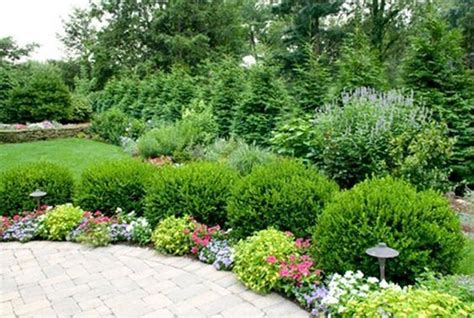 20 Creative Ideas Make Evergreen Garden For Your Front Yard Landscaping Shrubs Shrubs For