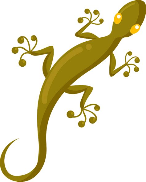 gecko - Clip Art Library