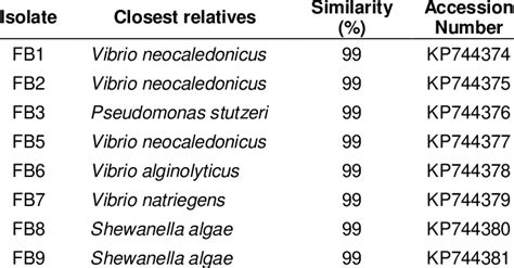 Biofouling Biofilm Forming Bacteria Molecular Identification Using Pcr