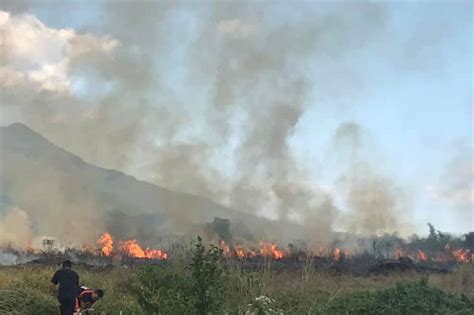 Grass Fire Sumiklab Sa Pili CamSur ABS CBN News