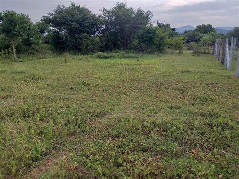 Agricultural Land Acre For Sale In Shoolagiri Hosur Rei