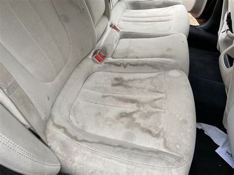 Easy Car Mold Removal Tips From an Auto Detailing Expert