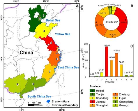 东北地理所在中国滨海湿地互花米草入侵遥感监测方面取得重要进展 中国科学院东北地理与农业生态研究所