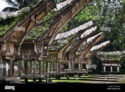 Indonesia Sulawesi Tana Toraja Area Kete Kesu Village Traditional