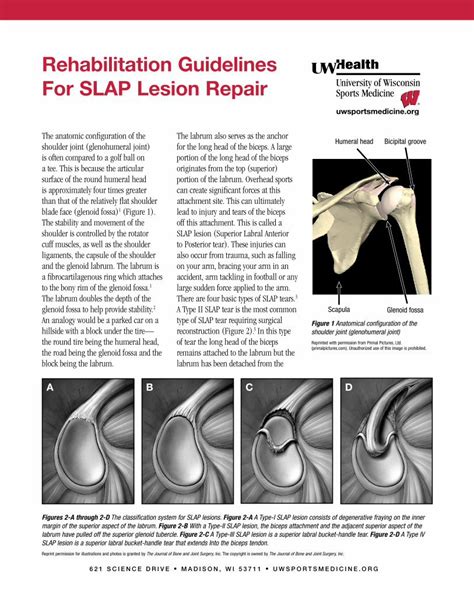 Pdf Rehabilitation Guidelines For Slap Lesion Repair Dokumen Tips