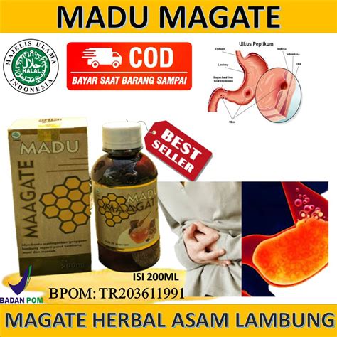 Jual OBAT ASAM LAMBUNG MADU MAAG GERD MENINGKATKAN NAFSU MAKAN MADU