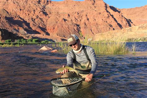 Arizona Fly Fishing: Lees Ferry - Arizona WanderingsArizona Wanderings