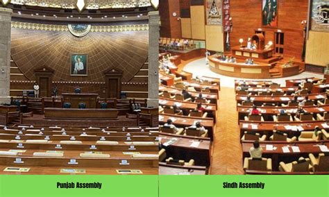 PPP Gets 26 Reserved Seats In Sindh Assembly PML N Takes 41 In Punjab