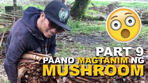 Part Mga Kailangan Sa Pagtanim Ng Mushroom Paano Magtanim Ng