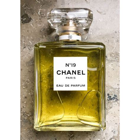 NƯỚc Hoa Full Box ChÍnh HÃng Chanel No19 Edp 100ml Shopee Việt Nam