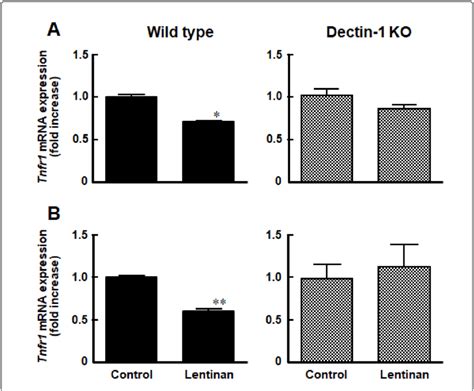 Lentinan Reduced Tnfr1 Mrna Expression Levels In Wt And Dectin 1 Ko