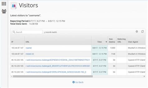 How To View The Website Visitors Using Cpanel