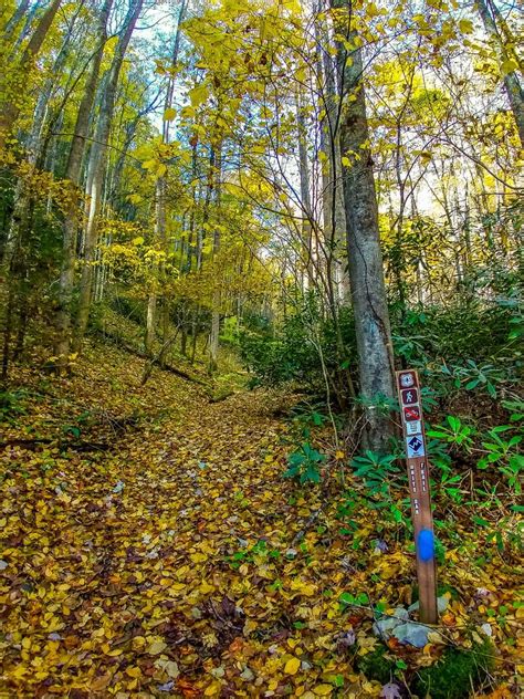 Photo Gallery White Oak Trail