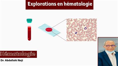 H Matologie Les Explorations En H Matologie Youtube