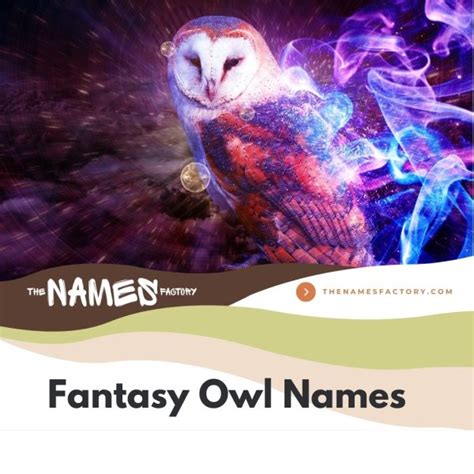 300+ Unique Owl Names Ideas for Naming Your Owl