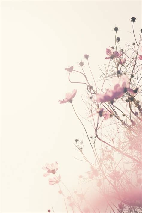 26 Minimalist-Curated-Neutral Wallpaper (HD download) - A Whimsical bit