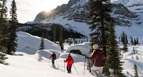 Guided Snowshoeing Tour | Banff & Lake Louise Tourism