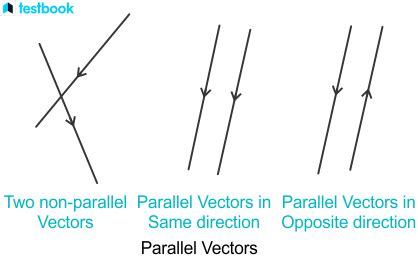 Parallel Vectors: Find Dot & Cross Product of Parallel Vectors