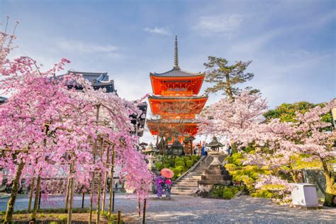 Planes Para Hacer En Primavera En Japón Imprescindibles