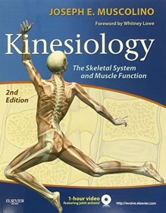 Kinesiology The Skeletal System And Muscle Function 2nd